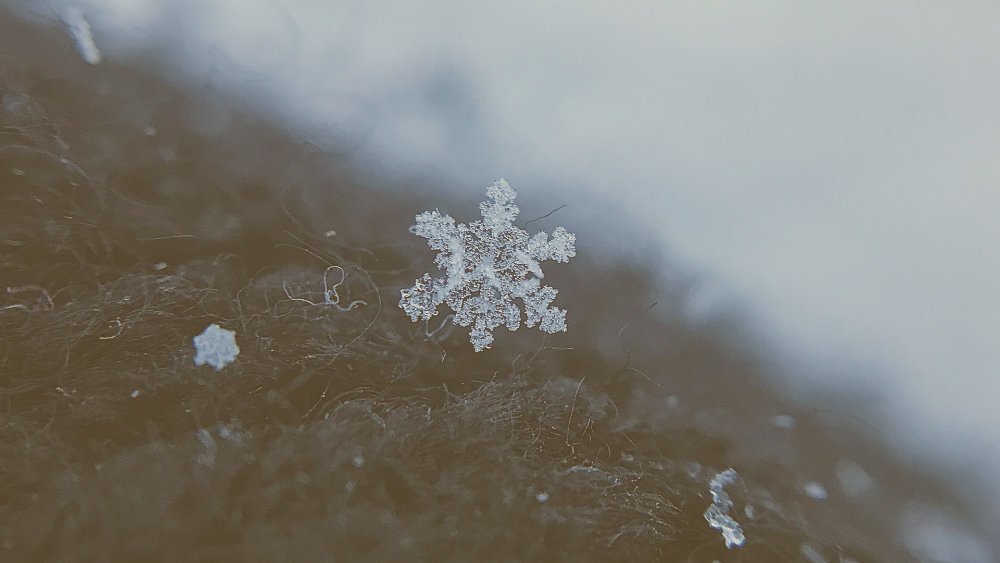 Snowflake: A Comprehensive Solution for Modern Data Management